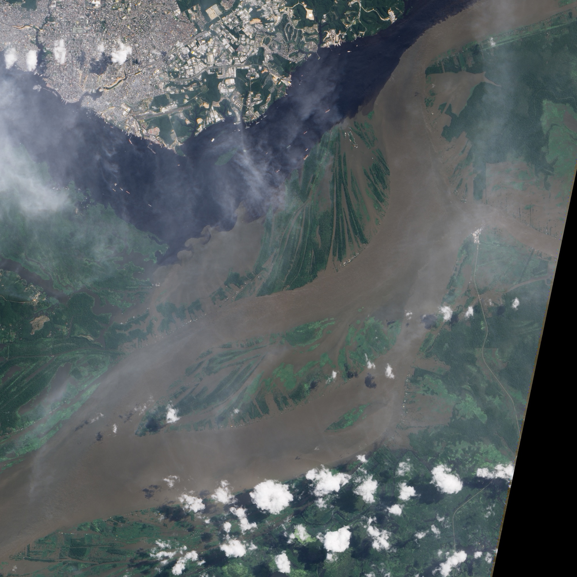 Natural-color satellite view of flooded forest near Manaus, Brazil